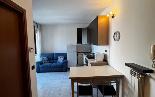 SPLENDIDO BILOCALE CON TERRAZZO!